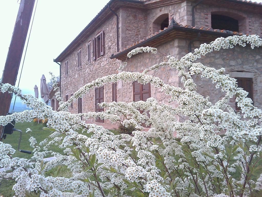 Agriturismo Il Poggiolo Montemerano Bagian luar foto