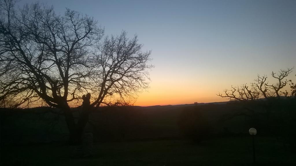 Agriturismo Il Poggiolo Montemerano Bagian luar foto